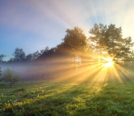 Embracing Our Inheritance