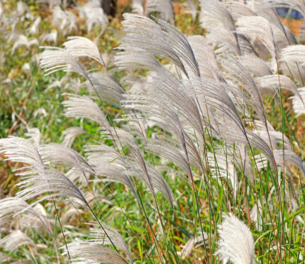 Living by the Spirit