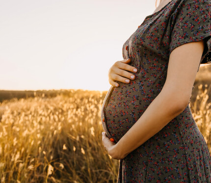 The Groaning of Creation 