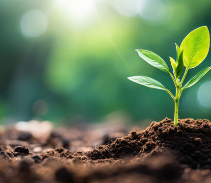 Testing God with Trust