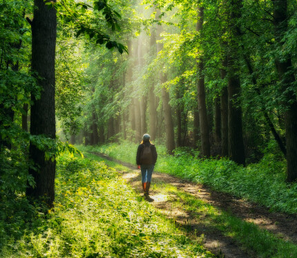 Forgiveness Is a Process, Not Perfection