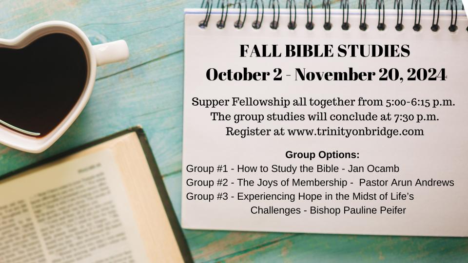 2024 FALL BIBLE STUDIES