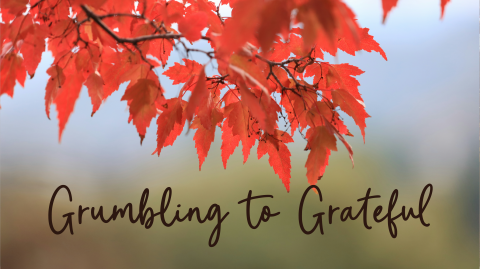 Grumbling to Grateful