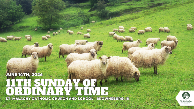 11th Sunday of Ordinary Time