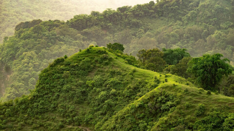 Dying on the Wrong Hills