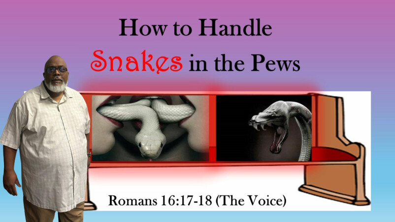 How to Handle Snakes in the Pews