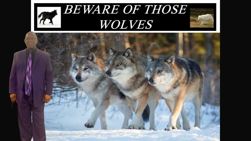 Beware of Those Wolves