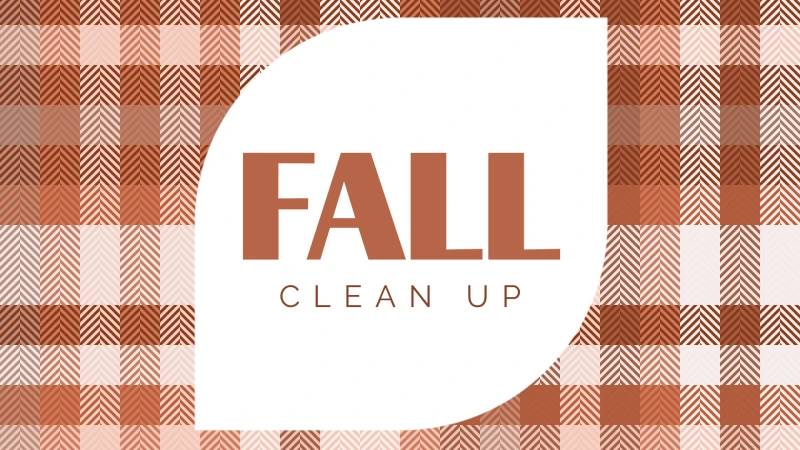 Fall Clean Up
