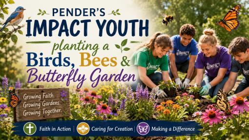 Birds, Bees & Butterfly Garden