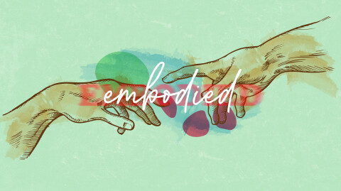 Updated Safety Guidelines for Services!