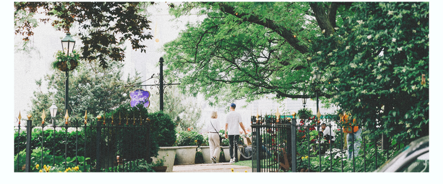 Sunday Gathering in the Park