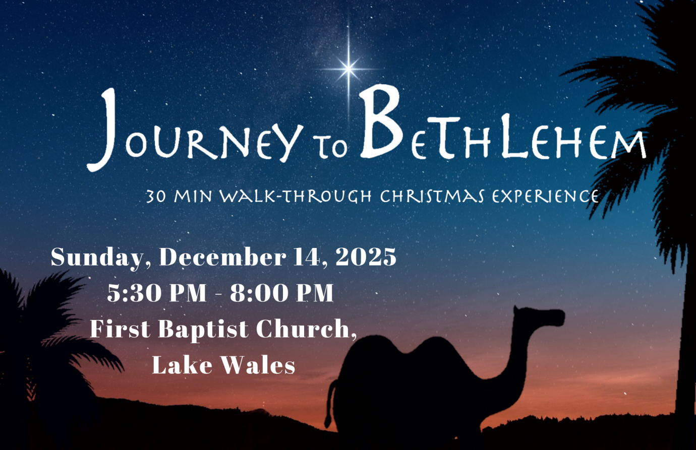 Journey to Bethlehem