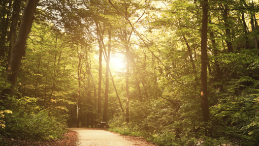 Feasting on the Spirit through Fasting