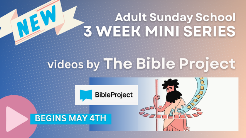 The Bible Project Mini Series