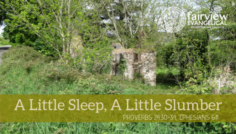 A Little Sleep, A Little Slumber