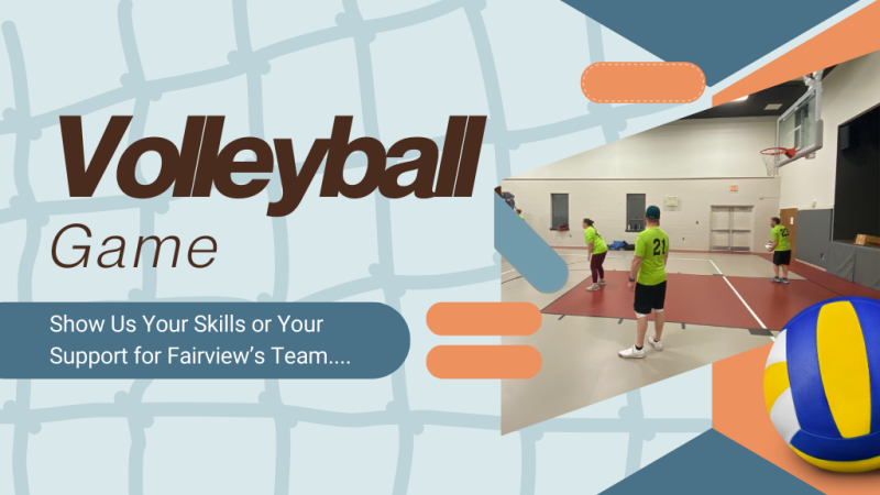 Volleyball Game