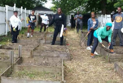 TS WS CC Gardening 45