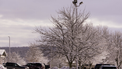 Addictions, Stress, & Holiday Depression