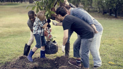 O Sons and Daughters of the King