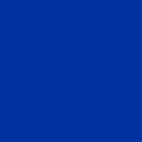 Warrior Blue Color Swatch