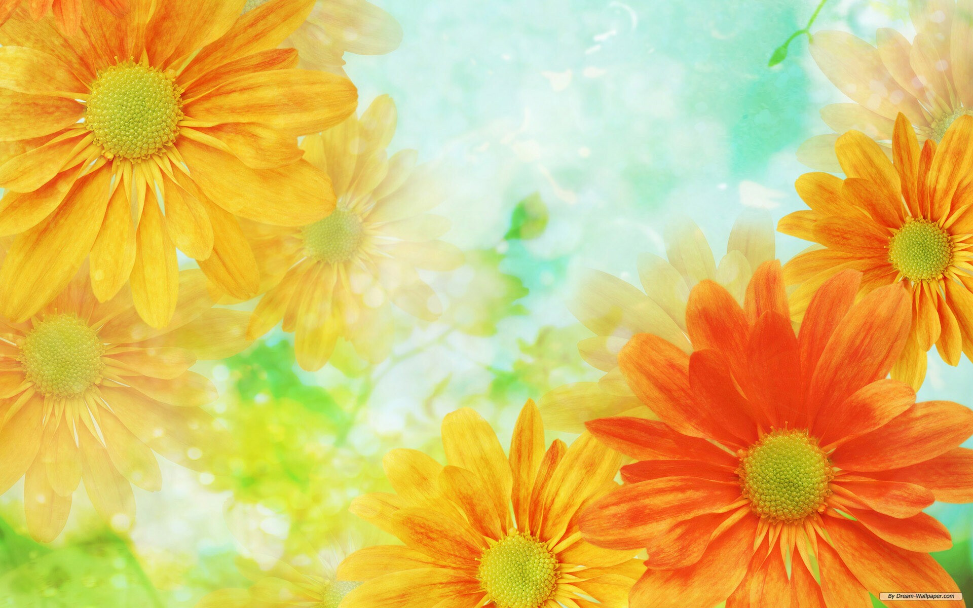 flowers-images-background-6