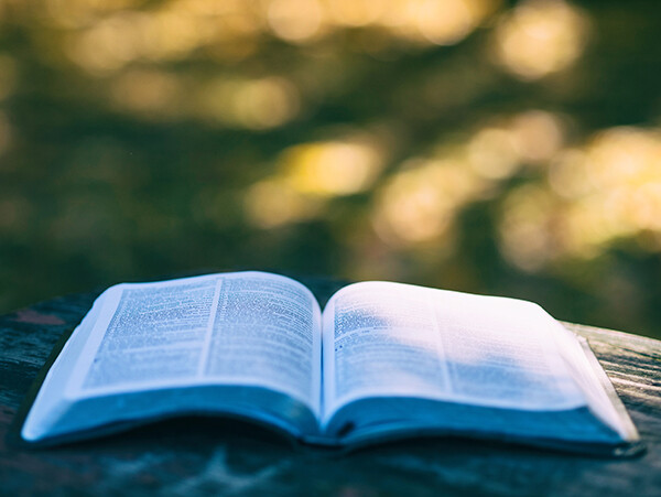 Lenten Bible Study IV