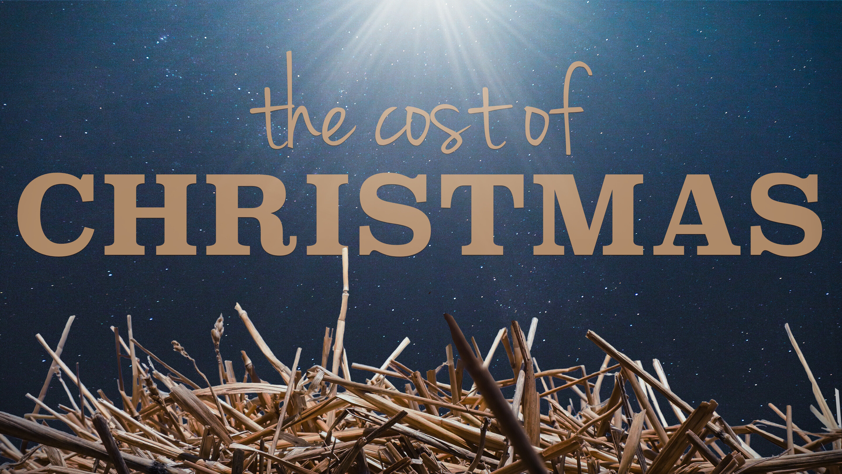 The Cost to Jesus