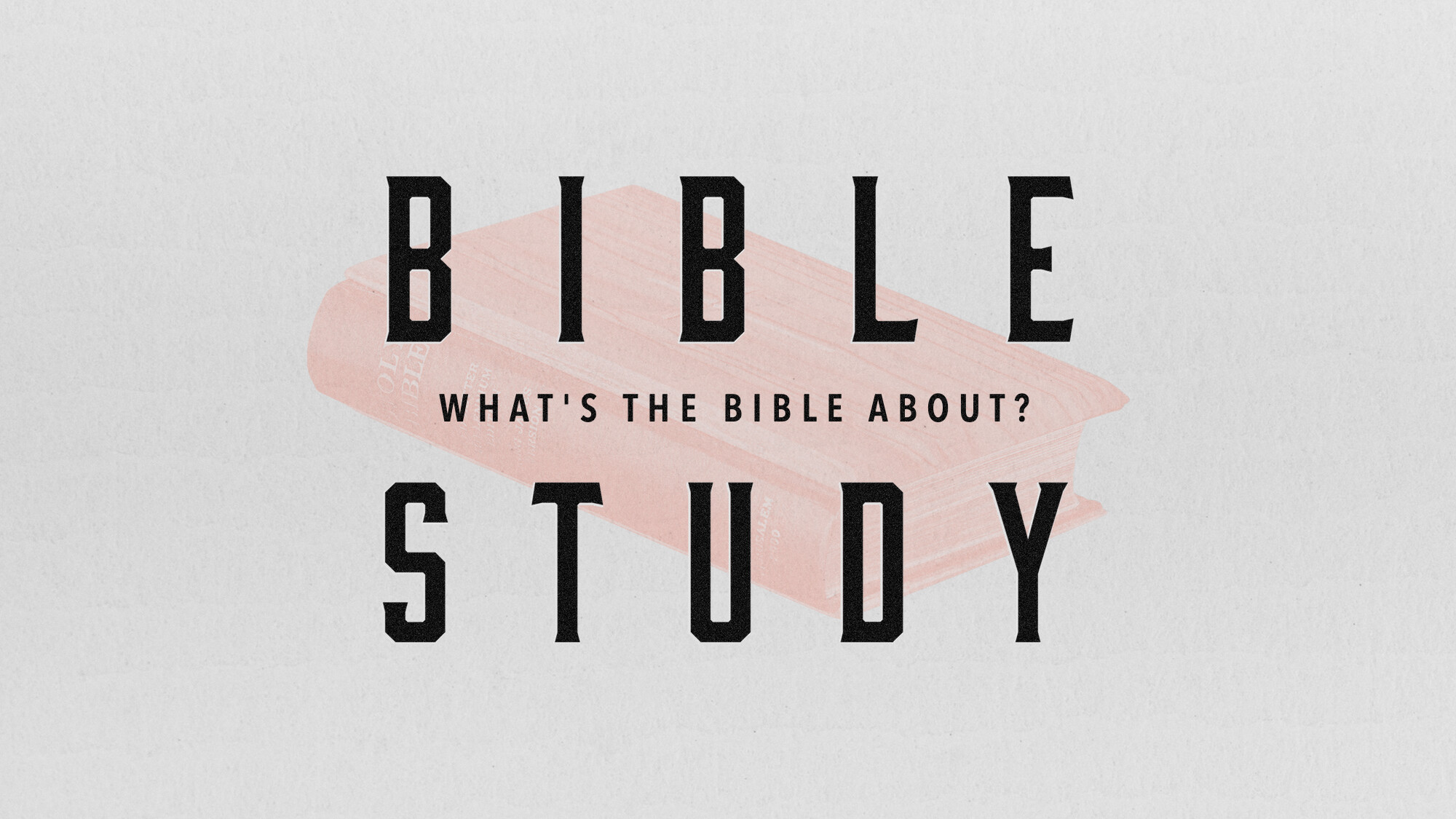 What's the Bible About?