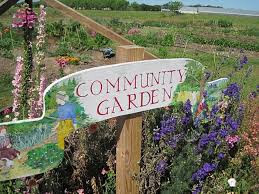 Wine and Cheese Gathering in our Community Garden 