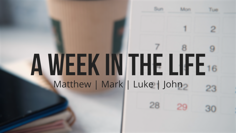 A Week in the Life: Day 1 | Sunday
