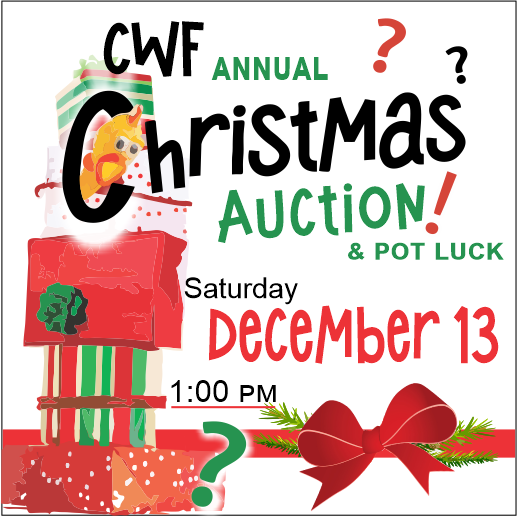 CWF Christmas Auction