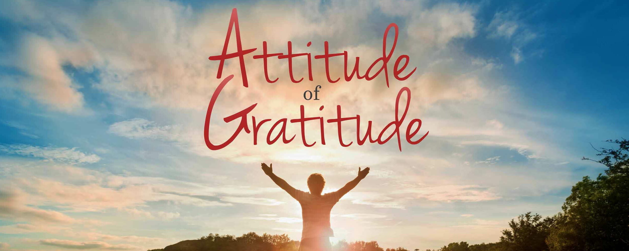 Attitude of Gratitude, Week 3