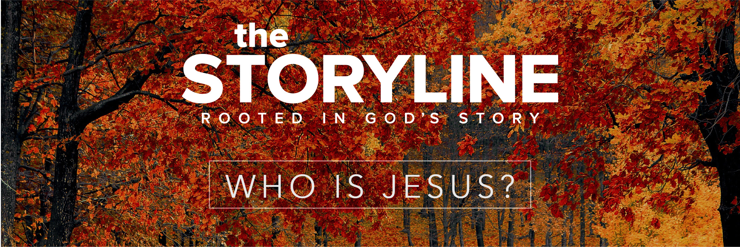 The Storyline | The Word of God (Audio)