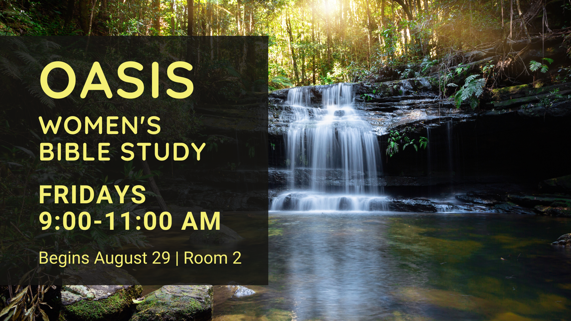Image for Oasis Women's Bible Study