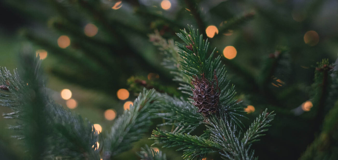 WB Christmas Eve Service