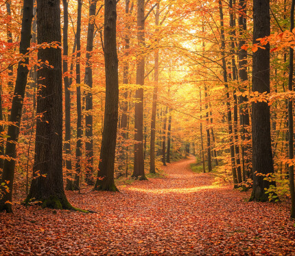 Living Between Groaning and Glory 