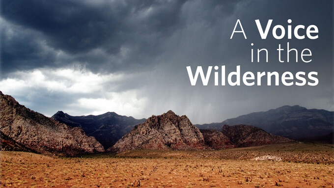 A Voice in the Wilderness