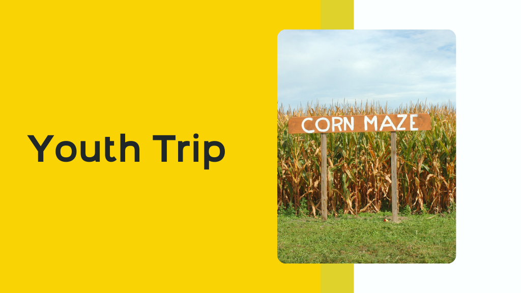 Youth to Strawberry Hill Corn Maze