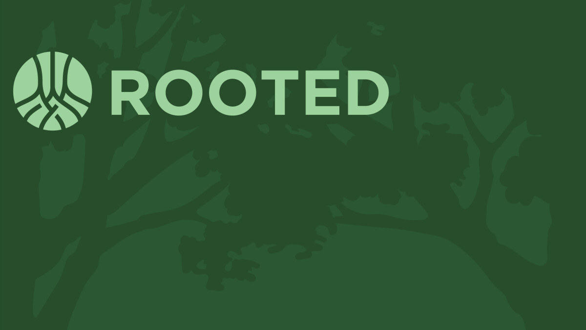 Rooted 