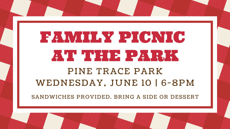 Family Picnic at the Park
