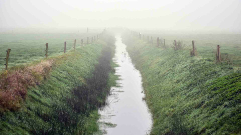 You’re Leading Yourself into a Ditch