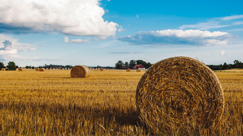 God: The Crazy Farmer . . . Again