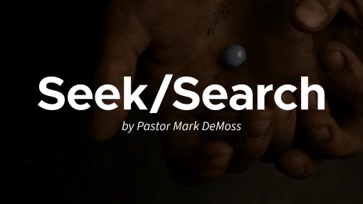 Seek/Search | July 30, 2026