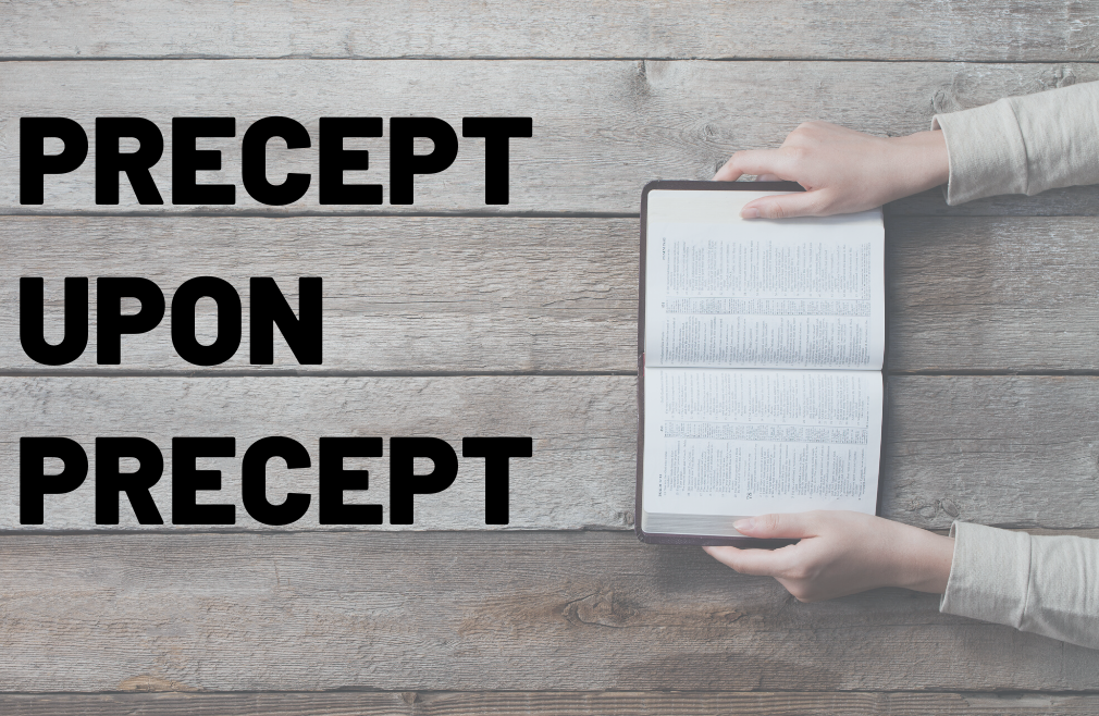 Precept Upon Precept