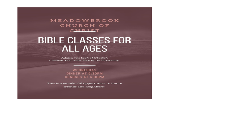 Bible Classes For All Ages