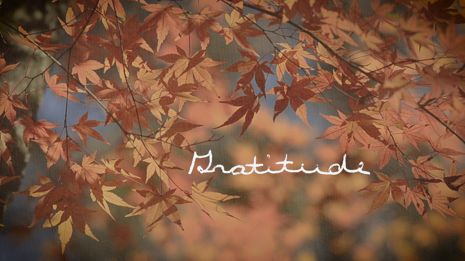 Gratitude