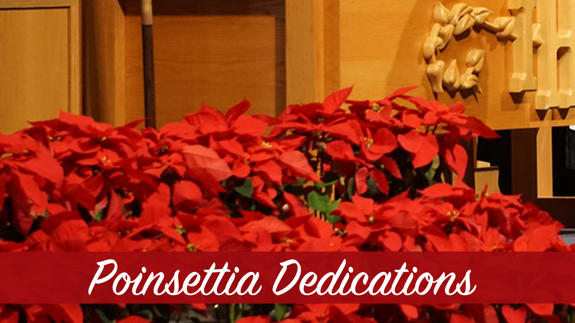 Poinsettia Dedications