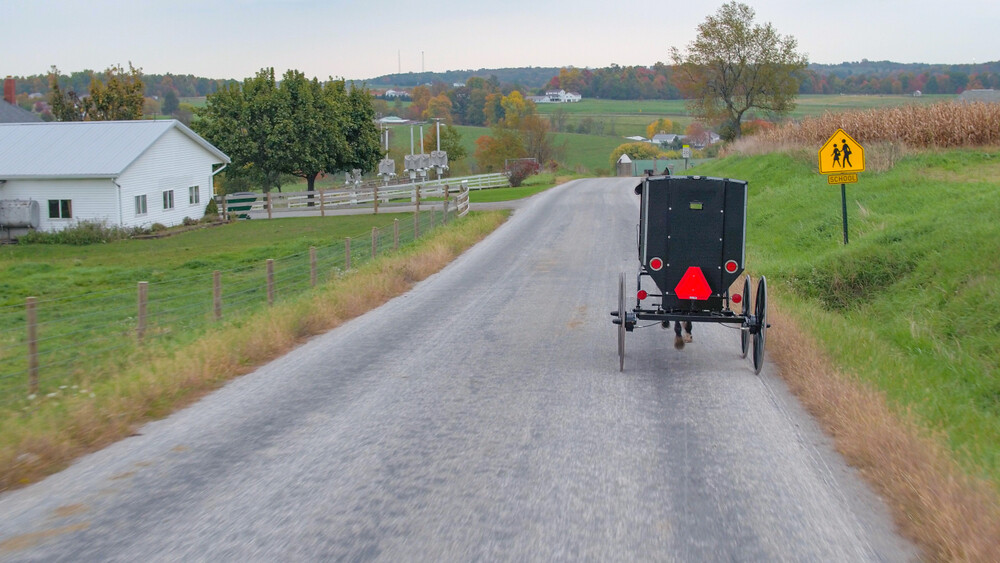 amish-buggy-on-country-road