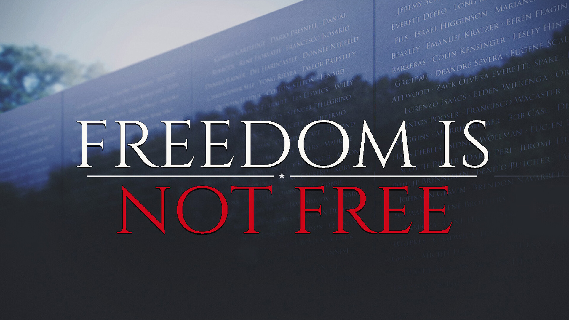 Freedom is Not Free