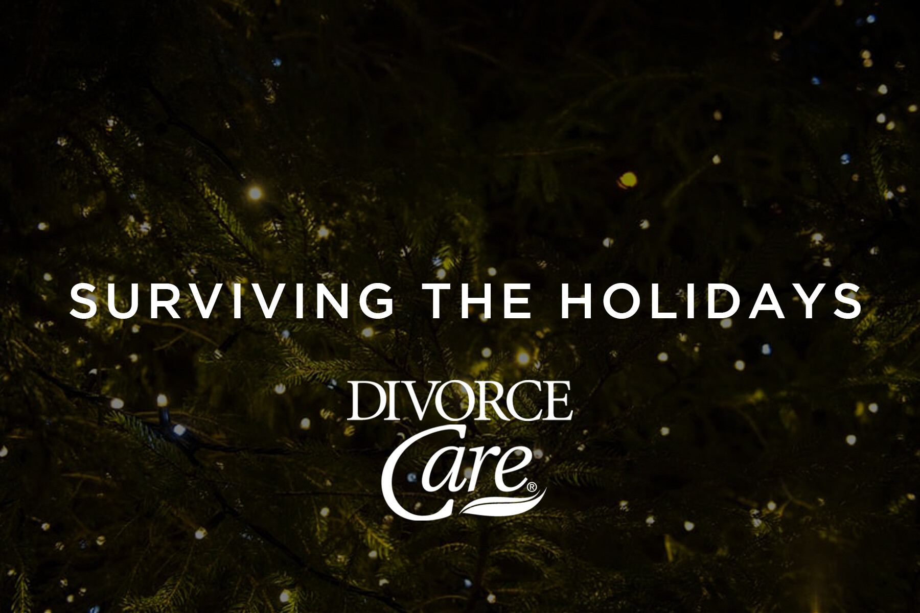DivorceCare: Surviving The Holidays